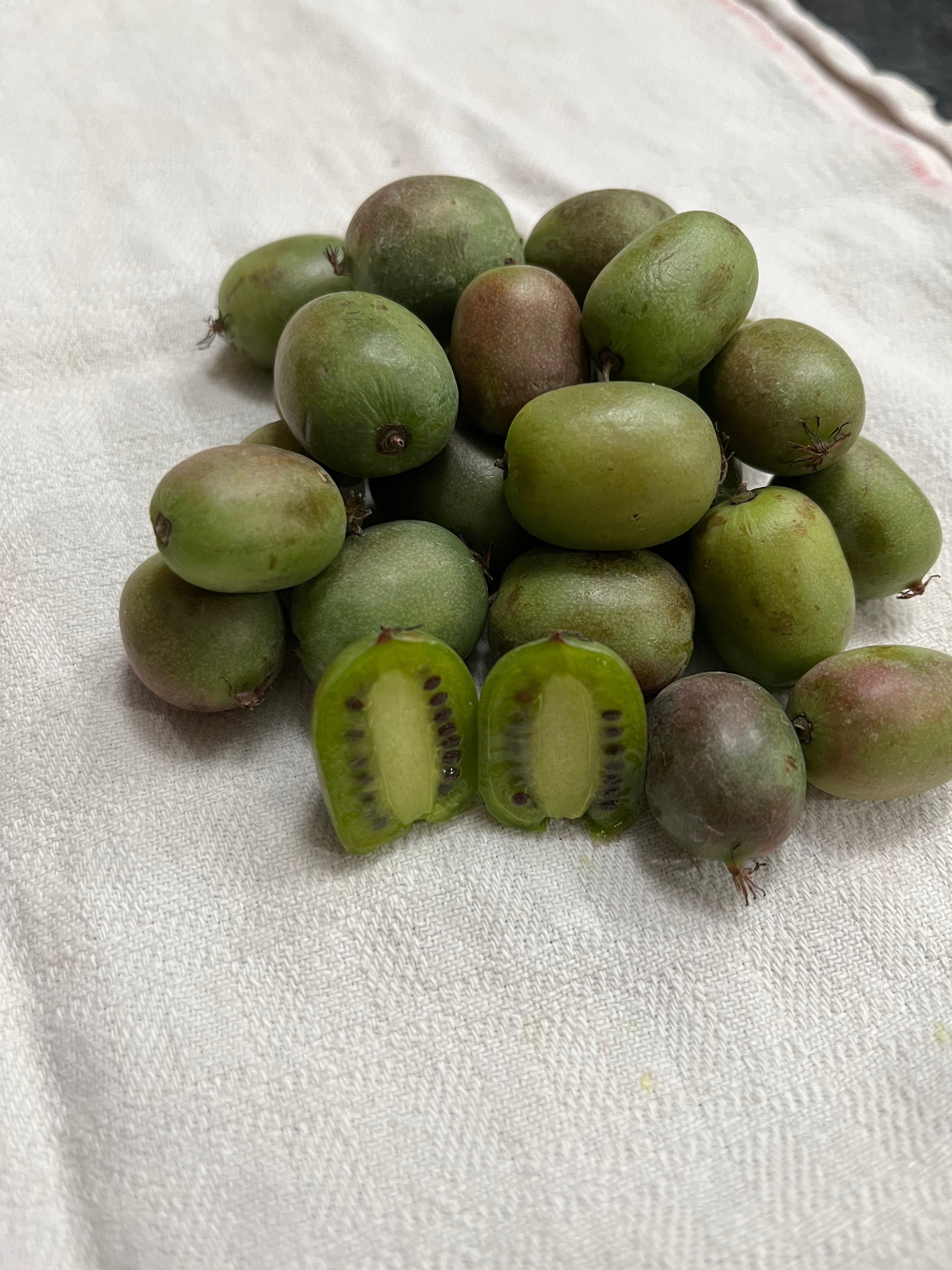 Kiwiberries