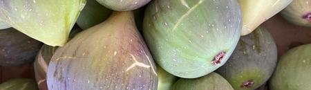 Figs - Gold Gardening