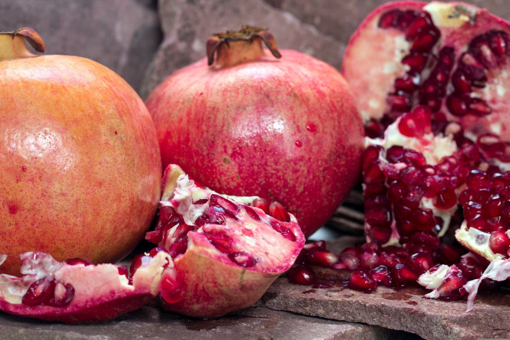 "Greek Red" Hardy Pomegranate - Gold Gardening