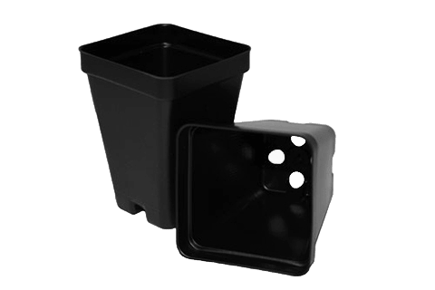 Square Nursery Pots - Gold Gardening