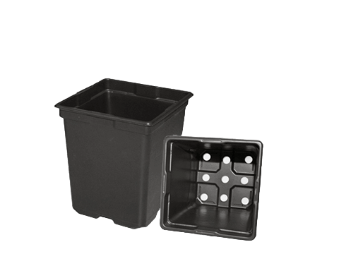 Square Nursery Pots - Gold Gardening