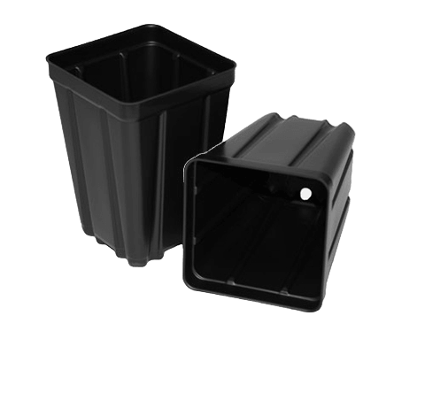 Square Nursery Pots - Gold Gardening
